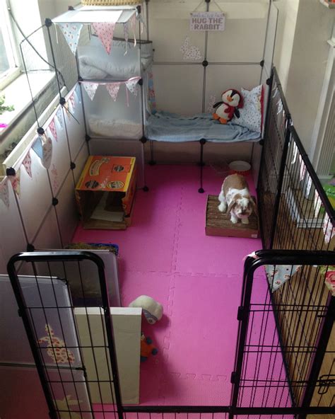 Maybe you would like to learn more about one of these? Indoor rabbit cage/enclosure | Diy bunny cage, Indoor ...