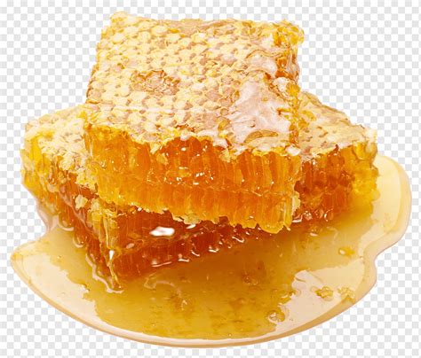 Two Honeycombs Comb Honey Honeycomb Bee Delicatessen Honeycomb Honey