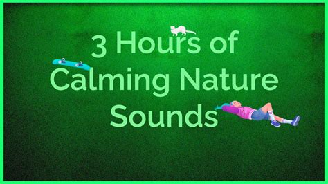 Nocturnal Harmony 3 Hours Of Calming Nature Sounds For Peaceful Rest
