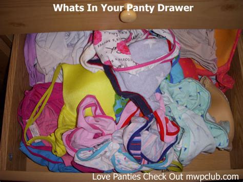 Panty Drawer Panties Drawer Underwear Drawer