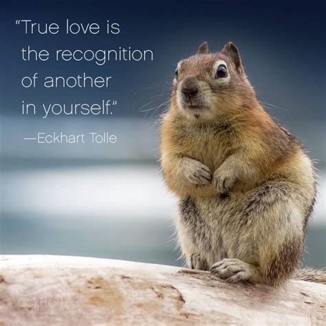 Pin By Rachel Walker On Quotes Eckhart Tolle Friends In Love Animal