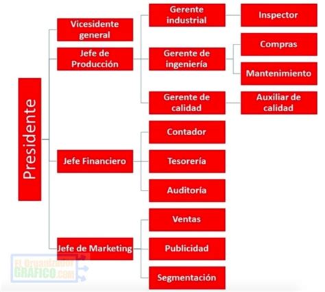 ᐈ ORGANIGRAMA de COCA COLA (2023) [Funciones y Ejemplos]