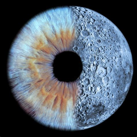 Moon And Eye Photograph By David Parkerscience Photo Library Fine