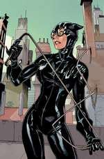 Catwoman Covers By Terry Dodson Rachel Dodson Catwoman Art Dc