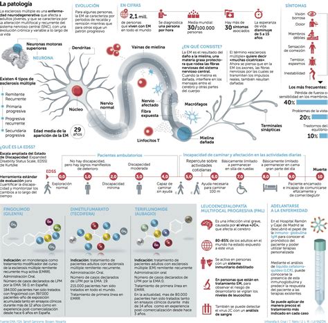 Sabem que per donar el millor tractament hem de fer recerca i ens hem convertit en referent mundial en la investigació de l'esclerosi múltiple infografia-em_la-razon | GAEM Fundación Afectados ...