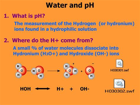 Ppt The Properties Of Water “the Liquid Of Life” Powerpoint Presentation Id 5320961