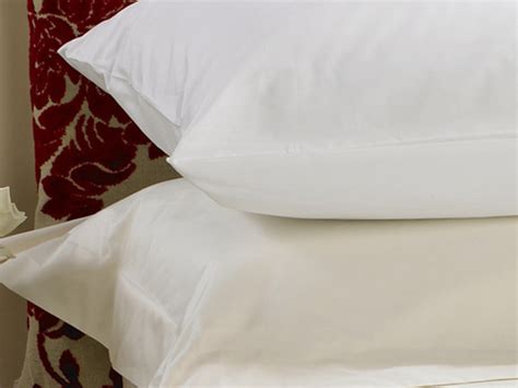 Pillow protector quilted pillow protector water proof pillow protector waterproof pillow protector cotton pillow protector bug salt gun bed bug about product and suppliers: Pillow Case Covers : Bed Bugs : NYC Pest Control
