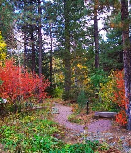 Where To Find Best Fall Leaf Colors In Flagstaff 2023