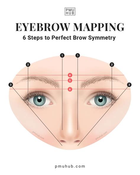 Eyebrow Mapping Tips And Tricks The Best Outline For Every Client