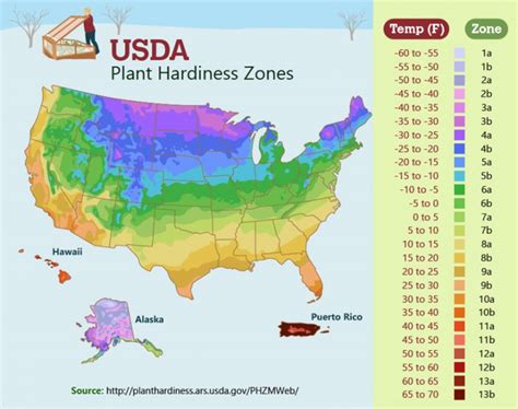 Whose Zone Is It Anyway A Breakdown Of Plant Hardiness Zones Frost
