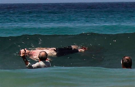 Michael Cohen Shark Attack Victim In South Africa Hubpages