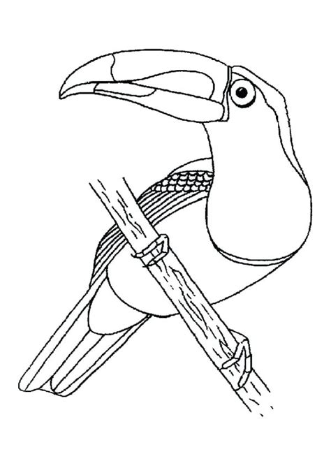 Get the markers out and make an average day a little more magical (for free!) by printing out a few of our favorite fairy, rainbow, and baby unicorn coloring pages. Toucan Bird Coloring Pages at GetColorings.com | Free ...