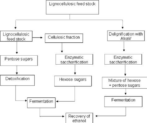 Shf With Separate Pentose And Hexose Sugars And Combined Sugar