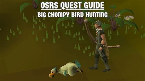 Osrs Quest Guide Big Chompy Bird Hunting Youtube