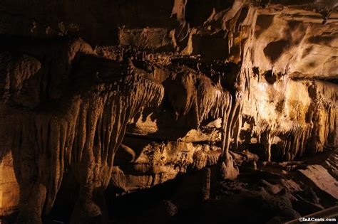 A Review Of Mammoth Caves Tour For Kids