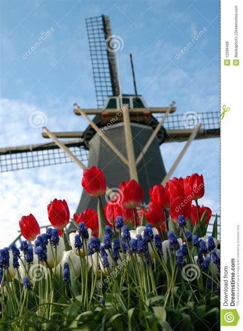 Typical Dutch Royalty Free Stock Image Image 12589496