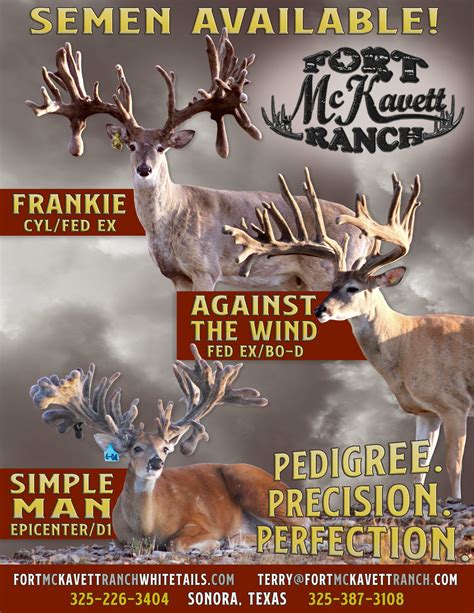 Advertising — Fort Mckavett Ranch Breeder Bucks