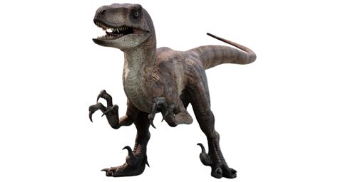 Jurassic Park Velociraptor 2 By Speedcam On Deviantart