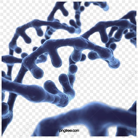 Dark Blue Gradient Dna Sequence 3d Elementscientific Researchmask Png