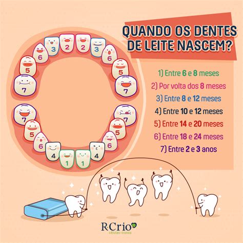 Quando Nascem Os Primeiros Dentes De Leite R Crio