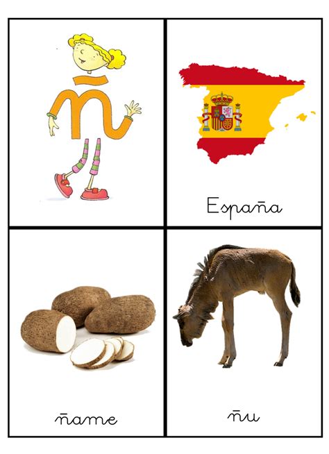 Animal Con La Letra N En Espanol