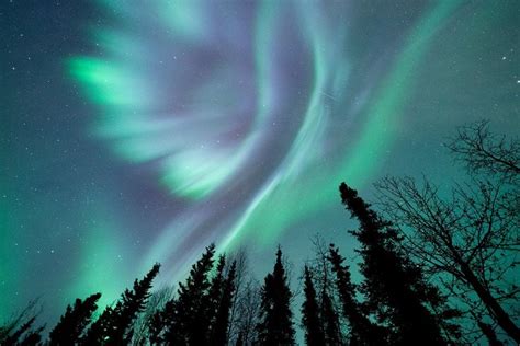 Chasing The Aurora Borealis In Alaska Alaska Northern Lights Viewing