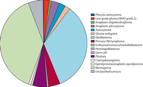 Primary Brain Tumours In Adults The Lancet