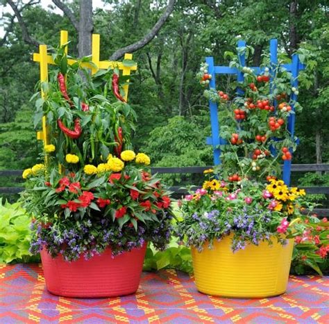 22 Stunning Container Vegetable Garden Design Ideas And Tips