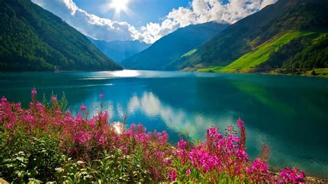 South Tyrol Lake Flowers Imgur Beautiful World Beautiful Places