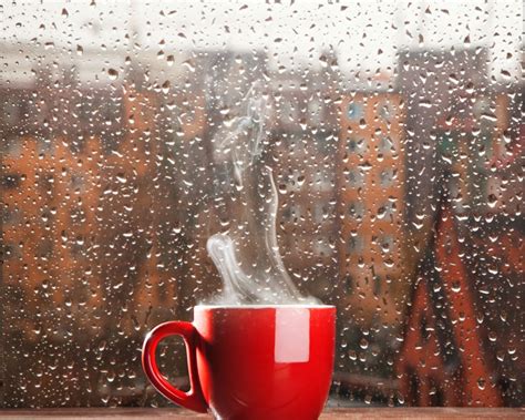 Coffee Rain Wallpapers Top Free Coffee Rain Backgrounds Wallpaperaccess
