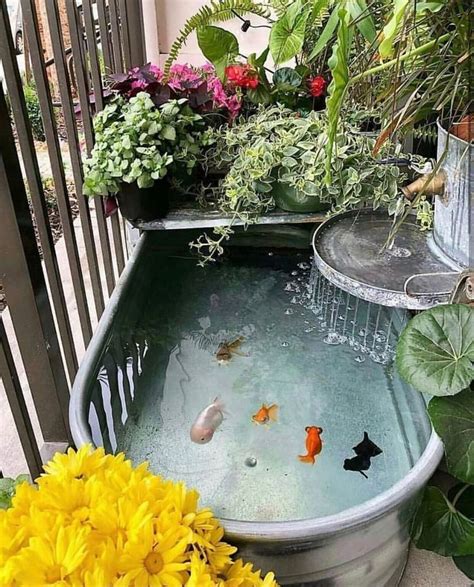 Japanese Koi Ponds For Your Garden Top Diy Ideas Fish Pond