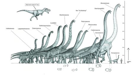 We All Know Sauropods Were The Biggest Dinosaurs But Scientists Cant