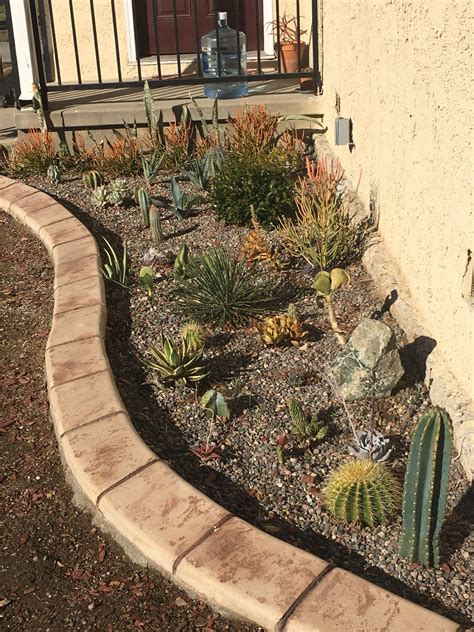 Succulent gardening cacti and succulents planting succulents container gardening planting flowers cool plants air plants garden plants indoor plants. Succulent, cactus project | Front yard, Succulents, Yard