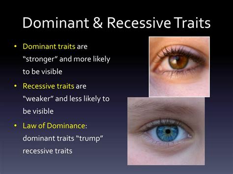 Dominant Traits And Recessive Traits - NCERT Solutions Class 12th ...