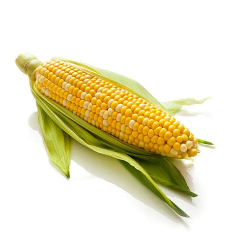 Corn Cob Agent Fresh