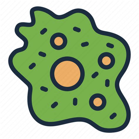 Amoeba Bacteria Cell Biology Science Education Icon Download On