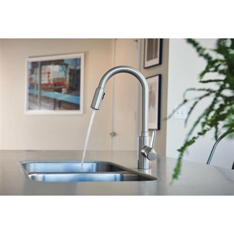 Difference between pull down and pull out kitchen faucet. MOEN Genta LX Single-Handle Pull-Down Sprayer Kitchen ...