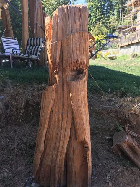 Maybe you would like to learn more about one of these? Burl old growth wood for Sale in Monroe, WA - OfferUp