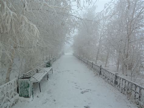Winter Siberia Stories