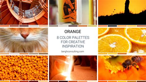 8 Orange Color Palettes For Inspiration Bergh Consulting