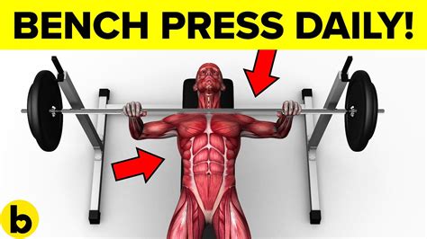 Doing Bench Press Every Day Will Do This To Your Body Youtube