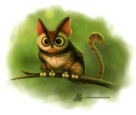 Daily Paint 1020 Cat Owl Daily Painting Cute Animal Drawings Cute
