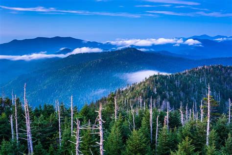Maybe you would like to learn more about one of these? 4 Facts About Wears Valley TN That Will Blow Your Mind