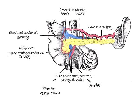 Learnoncology