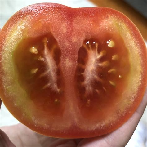 Tomato Insides A Bit Green