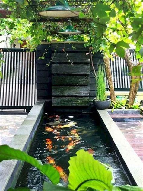 Minimalist Koi Pond With Houseplants Homemydesign