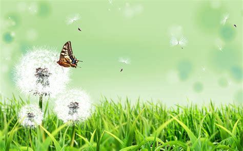 Free Wallpaper Of Natural Scenery A Brown Butterfly Flying In The