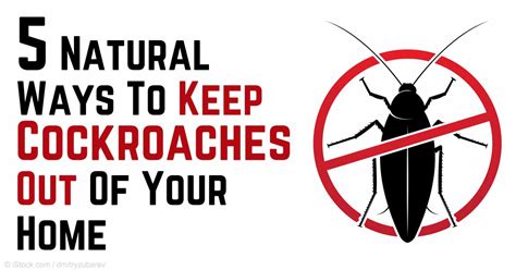 Jul 28, 2020 · the most effective way to get rid of roaches coming from your neighbors, is to make your home undesirable and unlivable for them. How to Keep Cockroaches Out of Your Home