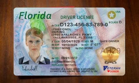 Florida Drivers License Template Fake Fl Psd 2024