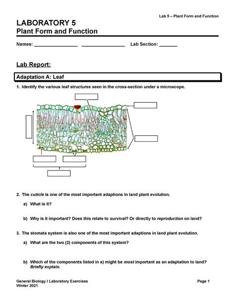 Lab5 Lab5 Laboratory 5 Plant Form And Function Names